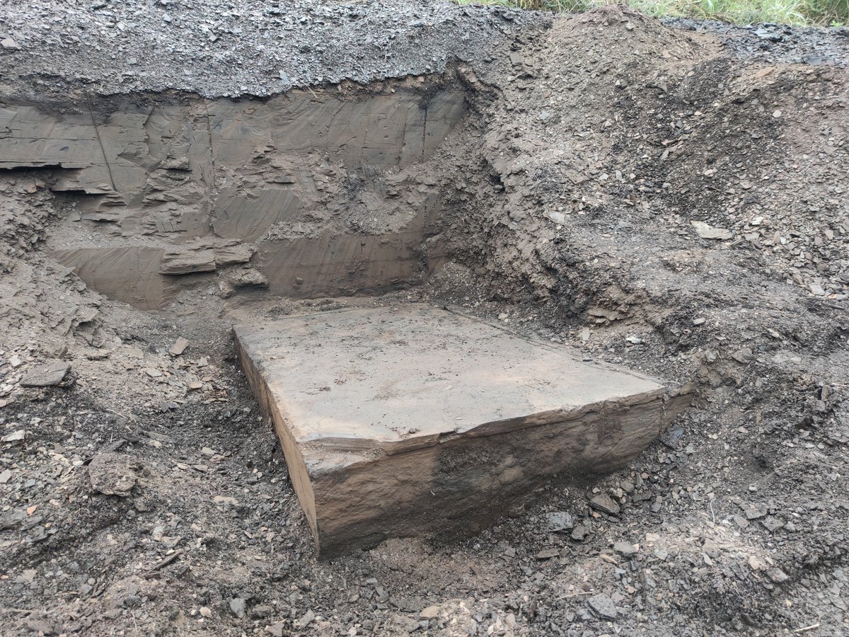 <p><span class="TextRun SCXW186275219 BCX8" lang="DE-DE" xml:lang="DE-DE" data-contrast="none"><span class="NormalTextRun SCXW186275219 BCX8" data-ccp-charstyle="eop" data-ccp-charstyle-defn="{&quot;ObjectId&quot;:&quot;920dbcde-2834-5e15-a5fa-062170b236ba|1&quot;,&quot;ClassId&quot;:1073872969,&quot;Properties&quot;:[201342446,&quot;1&quot;,201342447,&quot;5&quot;,201342448,&quot;1&quot;,201342449,&quot;1&quot;,469777841,&quot;Aptos&quot;,469777842,&quot;&quot;,469777843,&quot;Aptos&quot;,469777844,&quot;Aptos&quot;,201341986,&quot;1&quot;,469769226,&quot;Aptos&quot;,268442635,&quot;22&quot;,469775450,&quot;eop&quot;,201340122,&quot;1&quot;,134233614,&quot;true&quot;,469778129,&quot;eop&quot;,335572020,&quot;1&quot;,469778324,&quot;Default Paragraph Font&quot;]}">Frischer &Ouml;lschiefe</span><span class="NormalTextRun SCXW186275219 BCX8" data-ccp-charstyle="eop">r</span><span class="NormalTextRun SCXW186275219 BCX8" data-ccp-charstyle="eop"> anstehend in der Grube</span> <span class="NormalTextRun SCXW186275219 BCX8" data-ccp-charstyle="eop">bei einer Grabung</span> </span><span class="TextRun SCXW186275219 BCX8" lang="DE-DE" xml:lang="DE-DE" data-contrast="auto"><span class="NormalTextRun SCXW186275219 BCX8">/ Quelle: HLMD/ <span class="NormalTextRun SCXW175956094 BCX8">&copy; HLMD; Foto: </span><span class="NormalTextRun SCXW175956094 BCX8">Sandra Huber</span></span></span></p>