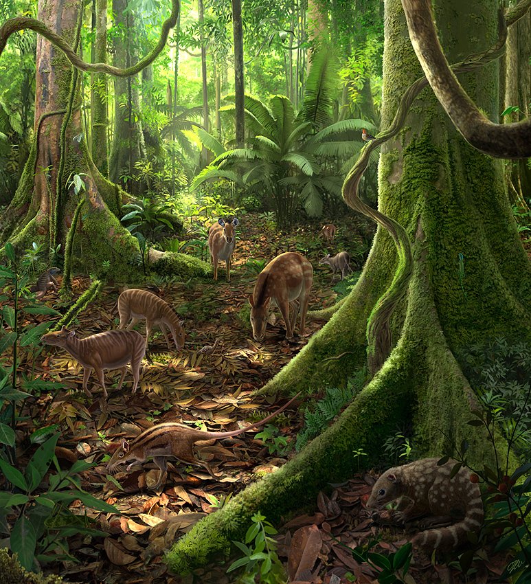 <p><span data-contrast="none"><span data-ccp-charstyle="eop">Ein Pal&auml;okunstwerk</span> </span><span data-contrast="none"><span data-ccp-charstyle="eop">des K&uuml;nstlers Oscar </span><span data-ccp-charstyle="eop">Sanisadro</span><span data-ccp-charstyle="eop"> im Auftrag des HLMD</span></span><span data-contrast="none"><span data-ccp-charstyle="eop">, </span><span data-ccp-charstyle="eop">das </span><span data-ccp-charstyle="eop">einen Ausschnitt aus dem damaligem &Ouml;kosystem im paratropischen Wald zeigt.</span></span> <span data-contrast="auto">&copy; HLMD, </span><span data-contrast="none"><span data-ccp-charstyle="eop">Oscar </span><span data-ccp-charstyle="eop">Sanisadro.</span></span><span data-ccp-props="{}">&nbsp;</span></p>